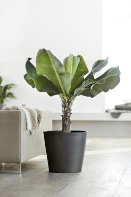 Ecopots Amsterdam 40 Ecopots Amsterdam 40