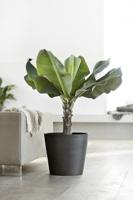 Ecopots Amsterdam 40 - thumbnail