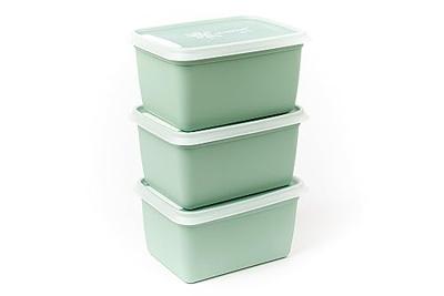 DBP Alaska Diepvriesdozen Vierkant 0.5L 3 Stuks Mintgroen