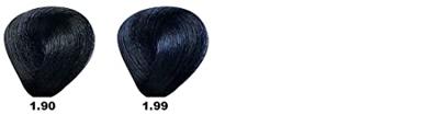 BES Hi-Fi Hair Color 1.90 100ml BES Hi-Fi Hair Color 1.90 100ml