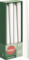 Bolsius gotische dinerkaars 8 stuks wit 25 cm - thumbnail