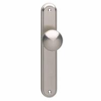 Intersteel knop op schild 60x25mm Nikkel Mat - thumbnail