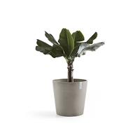 Ecopots Amsterdam kunststof bloempot Taupe - Ø 47 cm - thumbnail