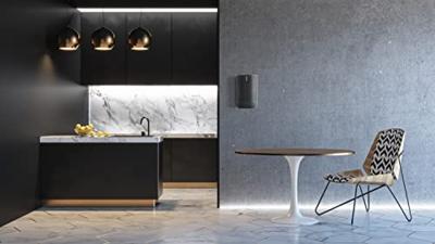 Mountson Buiten/Binnen Muurbeugel voor Sonos Move en Move 2 - Zwart