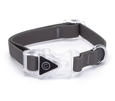 Nobleza Hondenhalsband met licht in gesp - Maat S - 40 cm