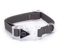 Nobleza Hondenhalsband met licht in gesp - Maat S - 40 cm - thumbnail