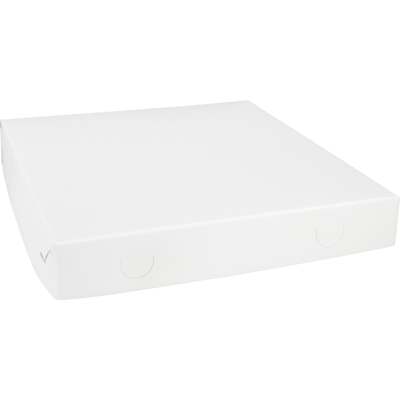 Zwanenhals/ verzenddoos | karton | 30x30x4.5cm | duplex | wit | 100 stuks