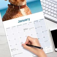 Cavapoo Kalender 2026 - thumbnail