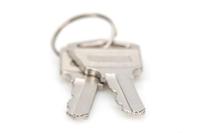 Digitus DN-45000-KEY rack-toebehoren Vergrendelsleutel - thumbnail