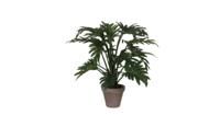 Kunstplant mica philodendron selloum groen in pot - thumbnail