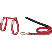 Hondentuigje Red Dingo Union Jack 21-35 cm Rood - thumbnail