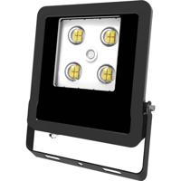 EVN EVN Lichttechnik LFE100940 LED-schijnwerper 10 W Lichtkleur (naam): Neutraalwit - thumbnail