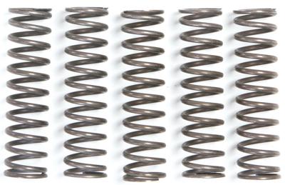 TRW koppelingsveer set clutch spring kit mef105-5 TRW koppelingsveer set clutch spring kit mef105-5