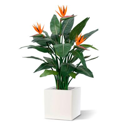 Strelitzia kunstplant deluxe 115cm