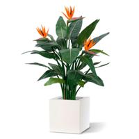 Strelitzia kunstplant deluxe 115cm - thumbnail