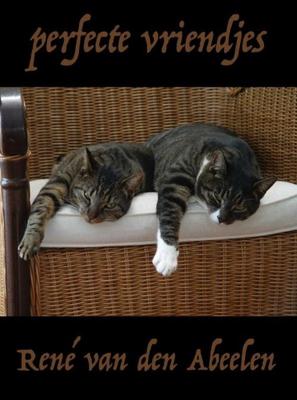 Perfecte vriendjes - René van den Abeelen - ebook