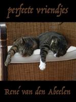Perfecte vriendjes - René van den Abeelen - ebook - thumbnail