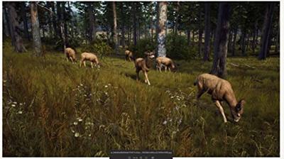 Way of the Hunter Way of the Hunter