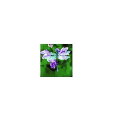 Animal Essences Dragonfly (libelle) 30 Milliliter