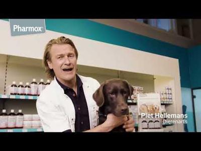Pharmox HK PEA 100% Puur voor hond en kat 60 tabletten