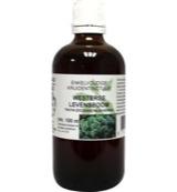 Cruydhof Thuja occidentalis / levensboom tinctuur 100 Milliliter