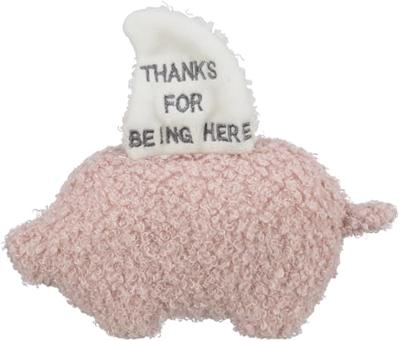 Trixie junior hondenspeelgoed varken pluche
