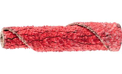 PFERD TOOLS PR 0635 CO-COOL 60 42810746 Schuurpapierrol Korrelgrootte (num) 60 (Ø x h) 6 mm x 35 mm 50 stuk(s)