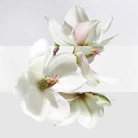 Hermès - Hermes Un Jardin Sur La Lagune Eau de toilette Spray 100 ml - thumbnail