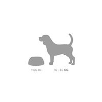 Voerbak voor honden United Pets Pappy 1,1 L Orange Polypropyleen 24.5 cm - thumbnail