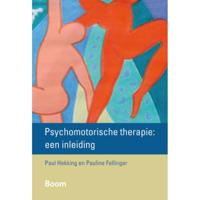 Psychomotorische therapie: een inleiding (Paperback) - thumbnail
