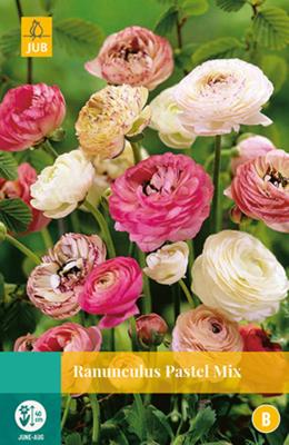 Ranunculus Pastel Mix Bloembol JUB 10 bollen - Jub