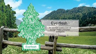 Wunder-Baum Geurbomen luchtverfrisser air freshener everfresh 1-er