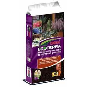 Hortensia potgrond Hortensia potgrond