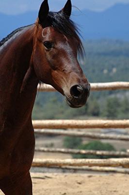 Wahl Body brush hard