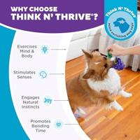 Outward Hound Dental Grapes - thumbnail