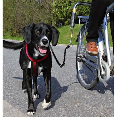 Trixie bikerset fietsbeugel springer