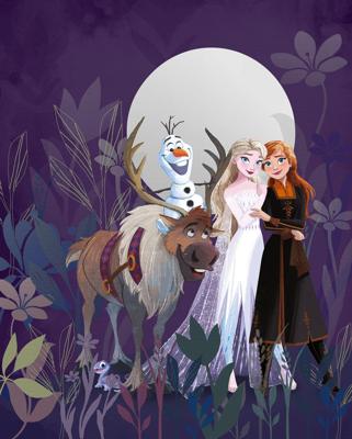 Komar Into Wonderland Fotobehang - Disney Frozen Full Moon Hike - IADX4-092