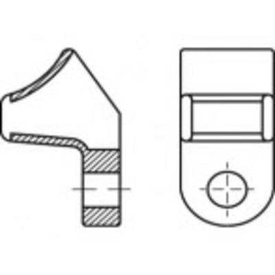 TOOLCRAFT TO-5454888 Kabelbinder 100 stuk(s)