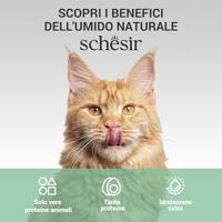 Schesir kip (jelly) natvoer kat (zakjes) 1 doos (12 x 70 g) - thumbnail