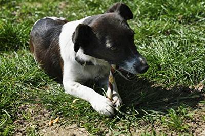 8in1 Triple Flavour sticks hondensnacks 6 verpakkingen