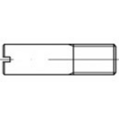 TOOLCRAFT TO-9982194 Bouten (l) 65 mm Staal Galvanisch verzinkt 10 stuk(s)