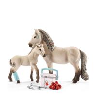 Schleich Horse Club Hannah Rescue Set met Merrie/Veulen/Accessoires - thumbnail