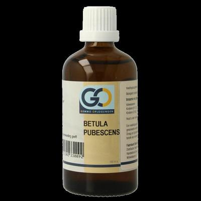 Betula pubescens bio 100 Milliliter