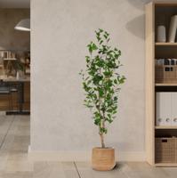 Ficus Triangularis Kunstplant 150cm - thumbnail