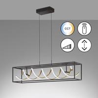 Fischer & Honsel Design hanglampGian zwart led - 61046 - thumbnail
