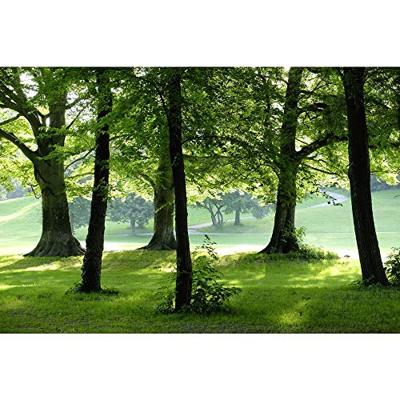 ebro RM 100 Kooldioxidemeter 0 - 3000 ppm Met temperatuurmeting