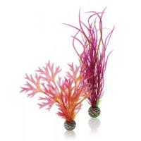 Aquariumtoebehoren plantenset medium rood & roze biOrb - Biorb - thumbnail