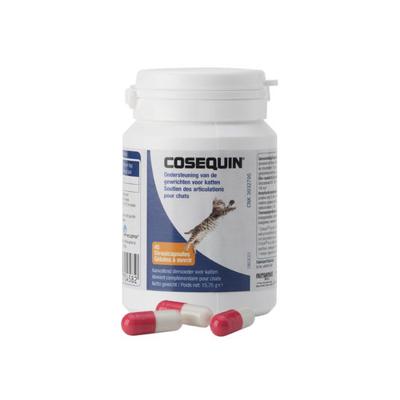 Cosequin Kat Strooicaps 45
