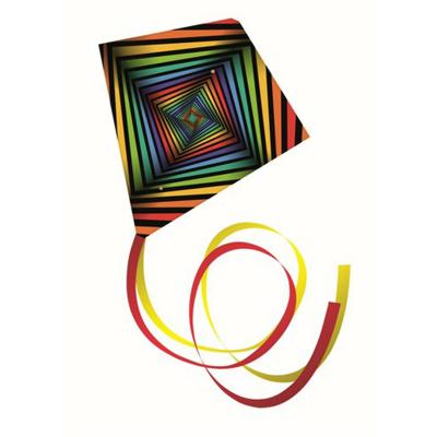 Günther Flugspiele Vlieger Square Spanwijdte 700 mm Geschikt voor windsterkte 4 - 9 bft