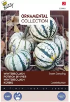Zaden Ornamental Wintersquash Sweet Dumpling Buzzy - Buzzy - thumbnail